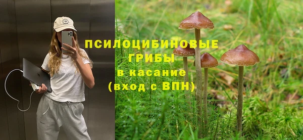 герыч Протвино