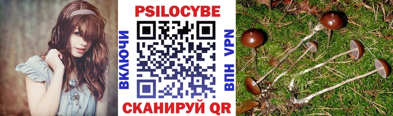 купить наркоту  ссылка на мегу вход  Псилоцибиновые грибы прущие грибы  Аткарск 